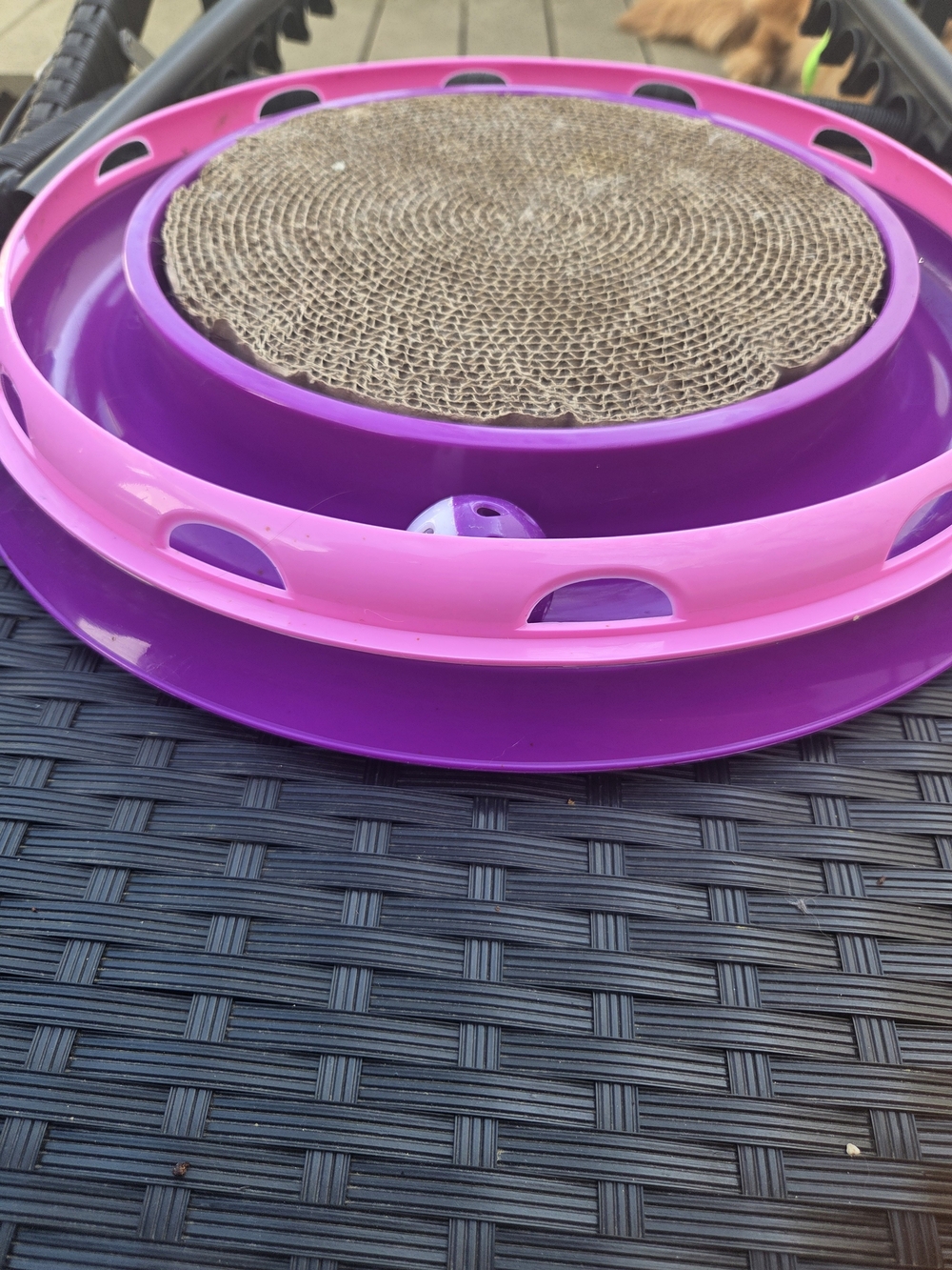 Purple and Pink Cat Toy Track with Scratching Pad